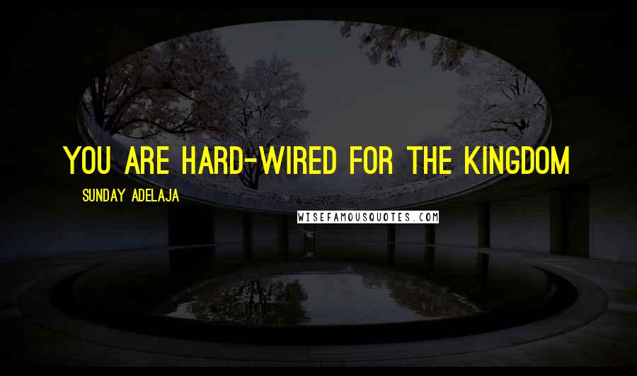 Sunday Adelaja Quotes: You Are Hard-Wired For The Kingdom