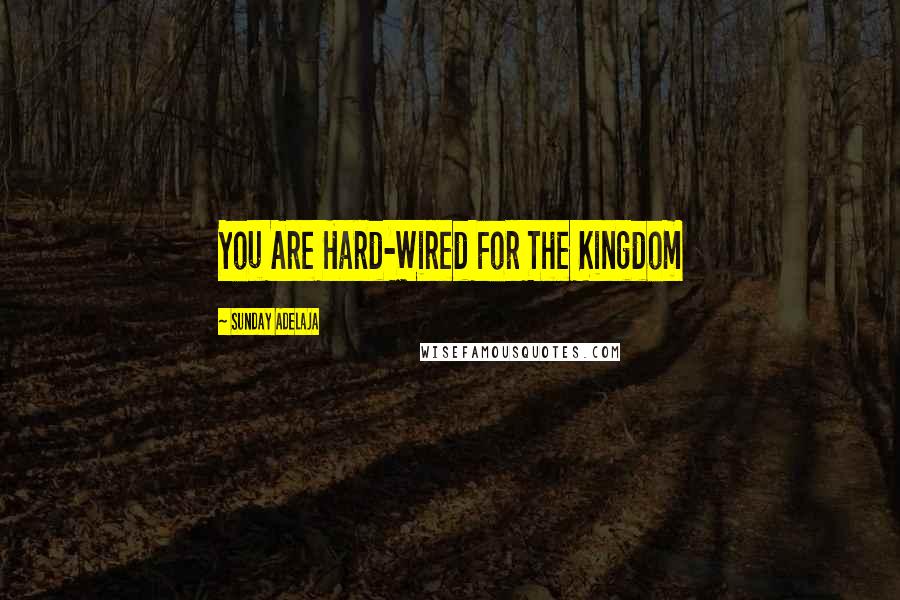 Sunday Adelaja Quotes: You Are Hard-Wired For The Kingdom