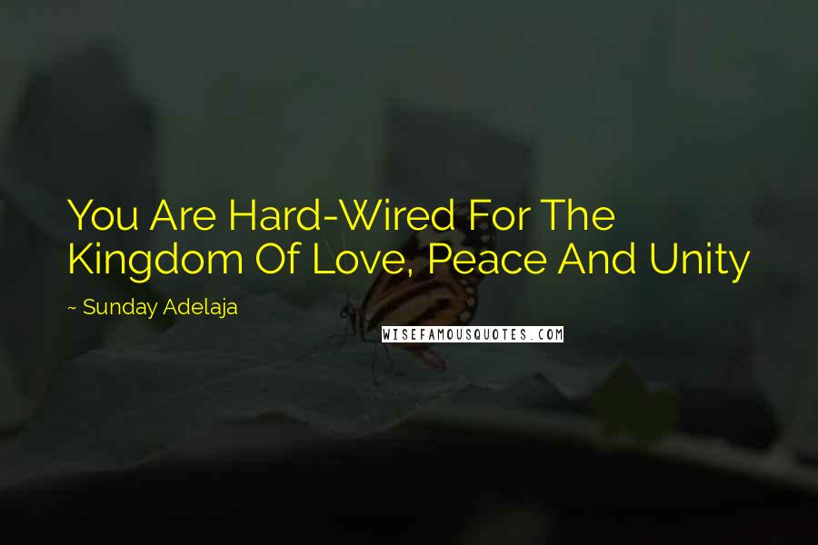 Sunday Adelaja Quotes: You Are Hard-Wired For The Kingdom Of Love, Peace And Unity