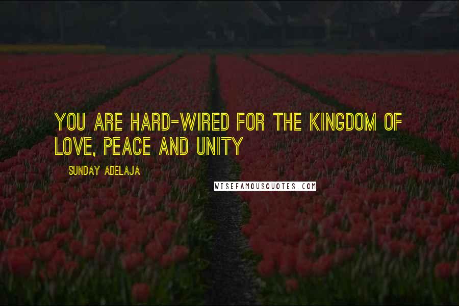 Sunday Adelaja Quotes: You Are Hard-Wired For The Kingdom Of Love, Peace And Unity