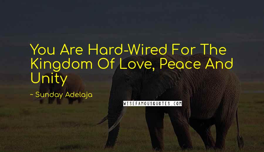 Sunday Adelaja Quotes: You Are Hard-Wired For The Kingdom Of Love, Peace And Unity
