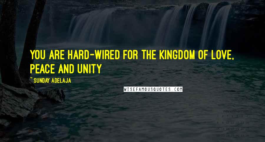 Sunday Adelaja Quotes: You Are Hard-Wired For The Kingdom Of Love, Peace And Unity