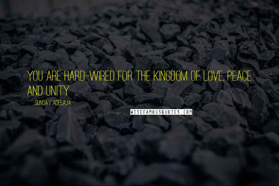 Sunday Adelaja Quotes: You Are Hard-Wired For The Kingdom Of Love, Peace And Unity