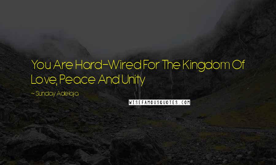 Sunday Adelaja Quotes: You Are Hard-Wired For The Kingdom Of Love, Peace And Unity
