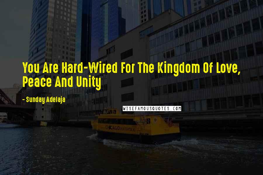 Sunday Adelaja Quotes: You Are Hard-Wired For The Kingdom Of Love, Peace And Unity