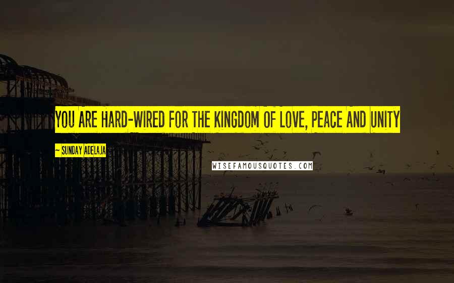 Sunday Adelaja Quotes: You Are Hard-Wired For The Kingdom Of Love, Peace And Unity