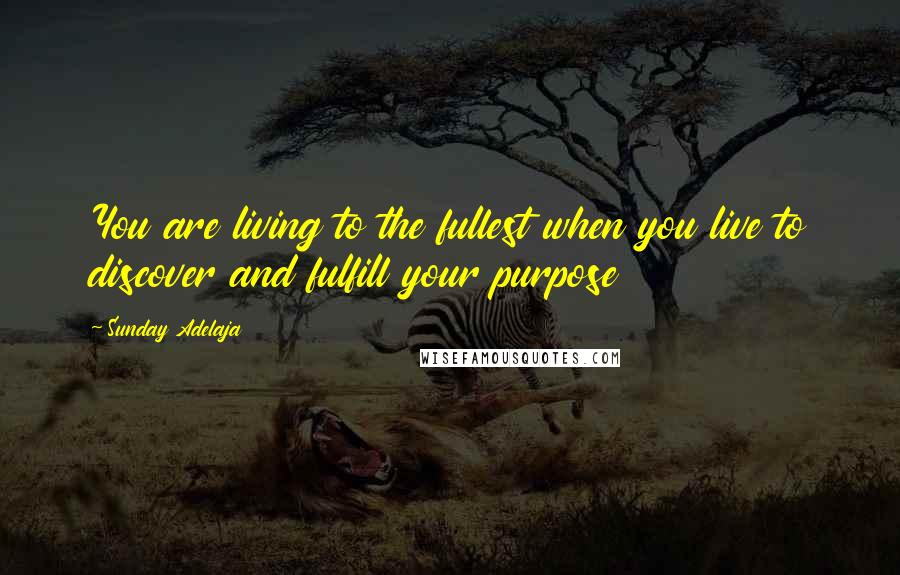 Sunday Adelaja Quotes: You are living to the fullest when you live to discover and fulfill your purpose