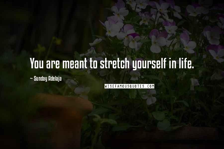 Sunday Adelaja Quotes: You are meant to stretch yourself in life.