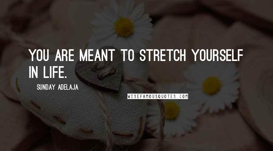 Sunday Adelaja Quotes: You are meant to stretch yourself in life.