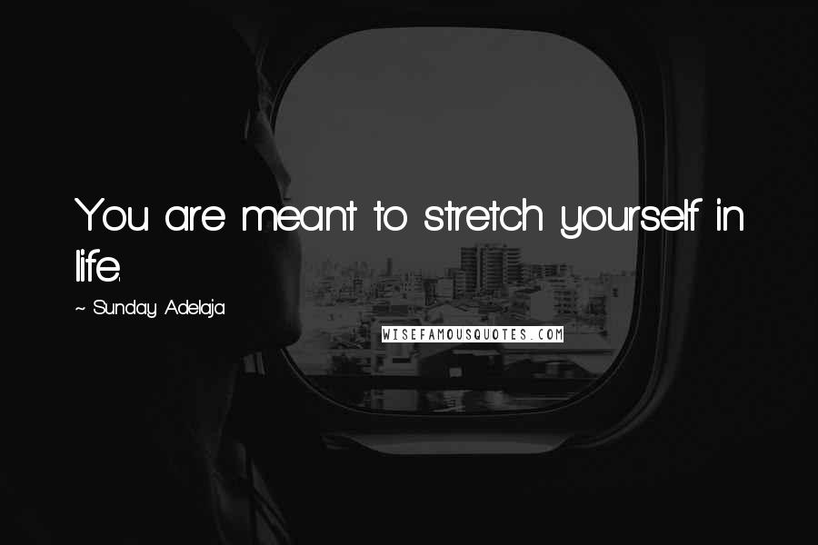 Sunday Adelaja Quotes: You are meant to stretch yourself in life.