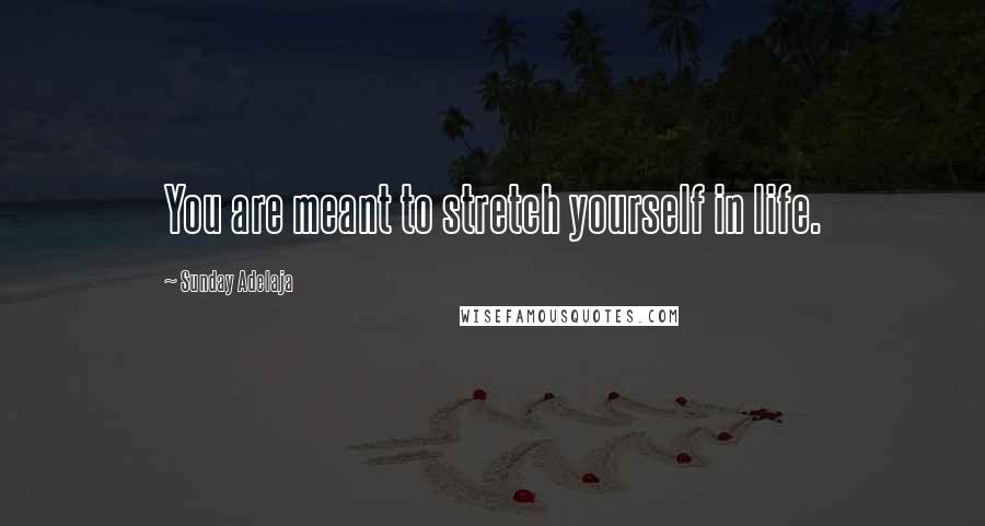 Sunday Adelaja Quotes: You are meant to stretch yourself in life.