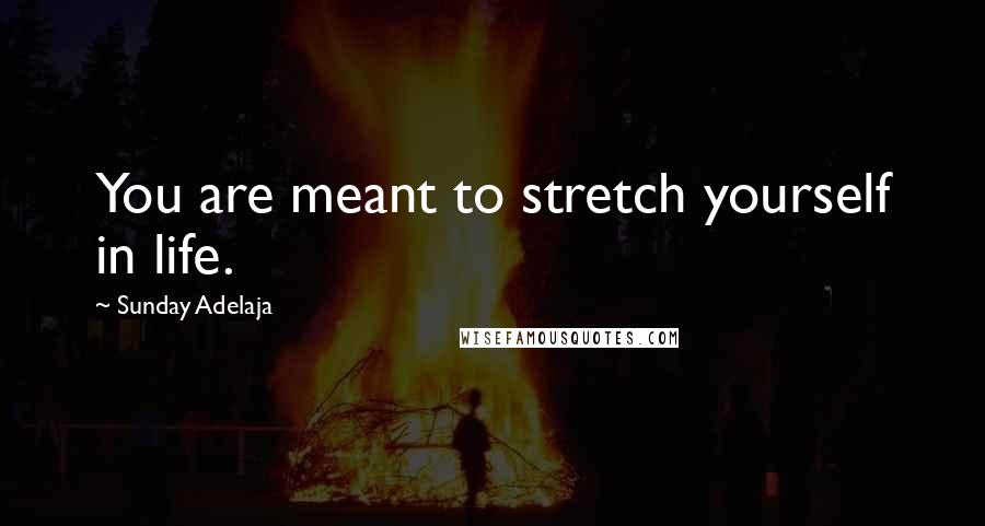 Sunday Adelaja Quotes: You are meant to stretch yourself in life.