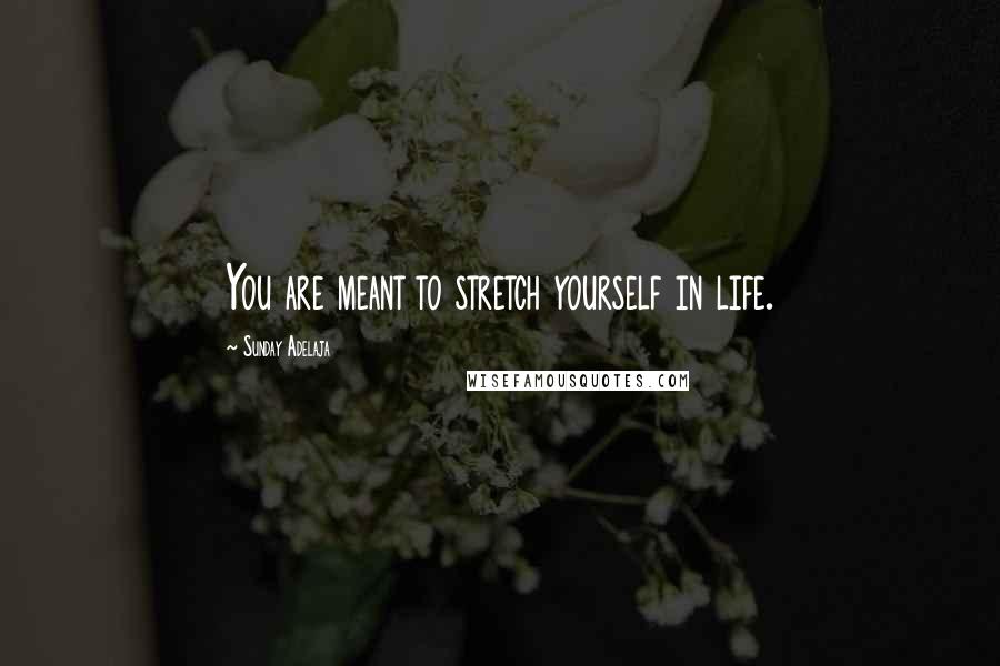 Sunday Adelaja Quotes: You are meant to stretch yourself in life.