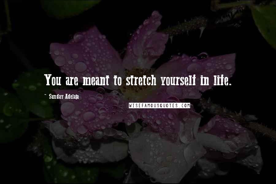 Sunday Adelaja Quotes: You are meant to stretch yourself in life.