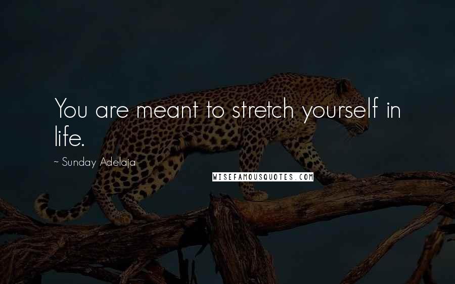 Sunday Adelaja Quotes: You are meant to stretch yourself in life.