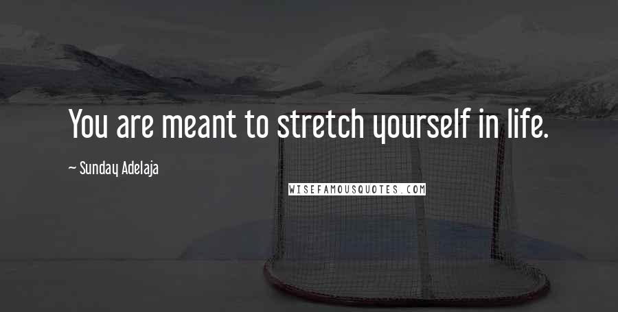 Sunday Adelaja Quotes: You are meant to stretch yourself in life.