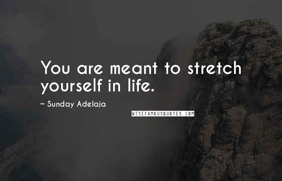 Sunday Adelaja Quotes: You are meant to stretch yourself in life.