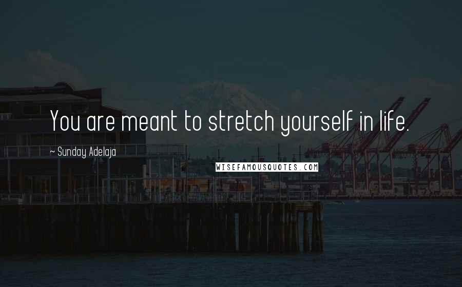 Sunday Adelaja Quotes: You are meant to stretch yourself in life.