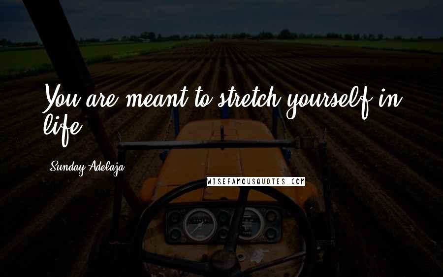 Sunday Adelaja Quotes: You are meant to stretch yourself in life.