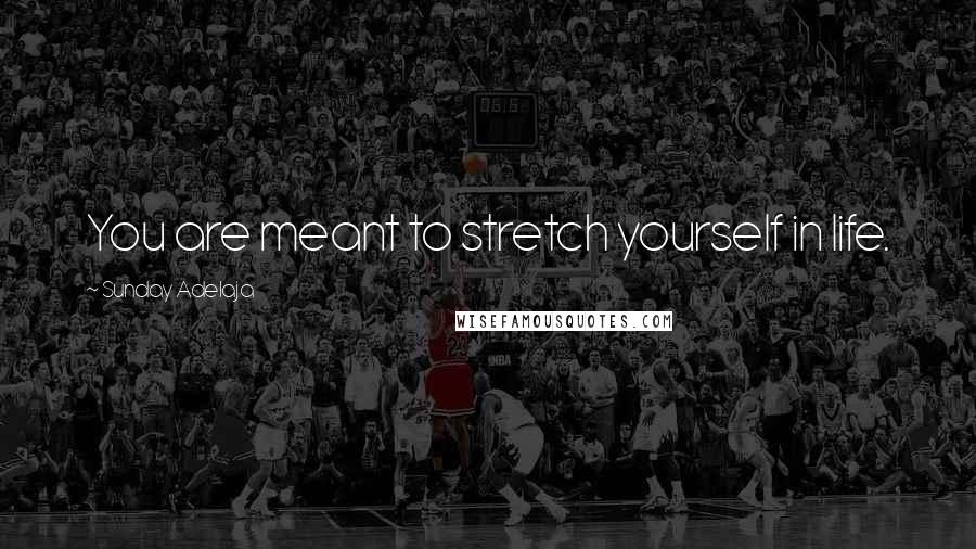 Sunday Adelaja Quotes: You are meant to stretch yourself in life.