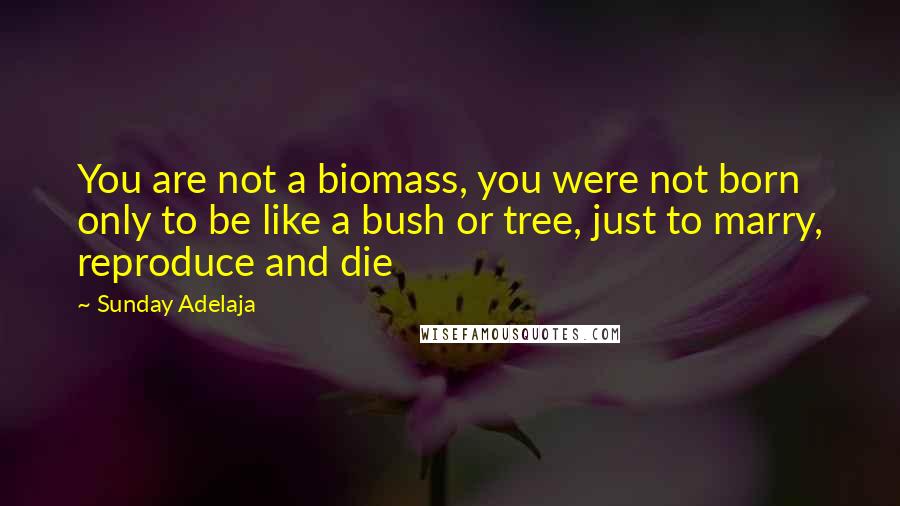 Sunday Adelaja Quotes: You are not a biomass, you were not born only to be like a bush or tree, just to marry, reproduce and die