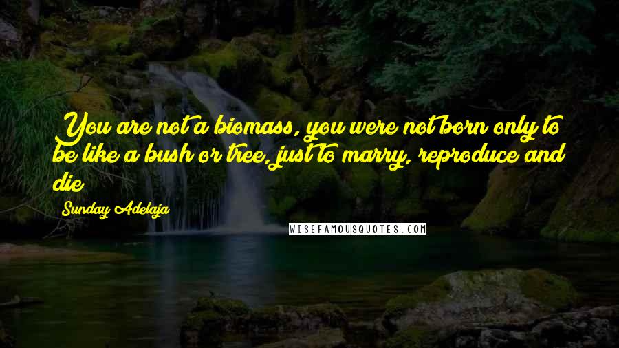 Sunday Adelaja Quotes: You are not a biomass, you were not born only to be like a bush or tree, just to marry, reproduce and die