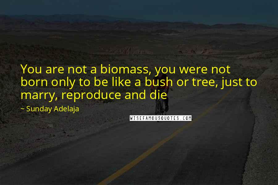 Sunday Adelaja Quotes: You are not a biomass, you were not born only to be like a bush or tree, just to marry, reproduce and die