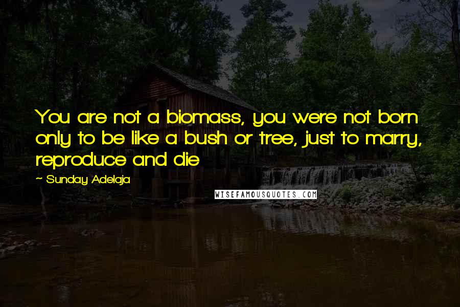 Sunday Adelaja Quotes: You are not a biomass, you were not born only to be like a bush or tree, just to marry, reproduce and die