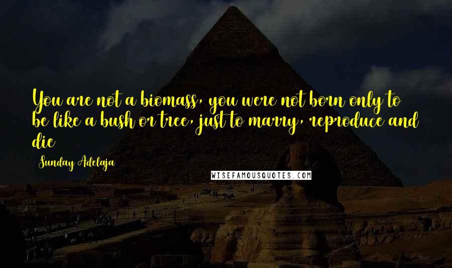 Sunday Adelaja Quotes: You are not a biomass, you were not born only to be like a bush or tree, just to marry, reproduce and die