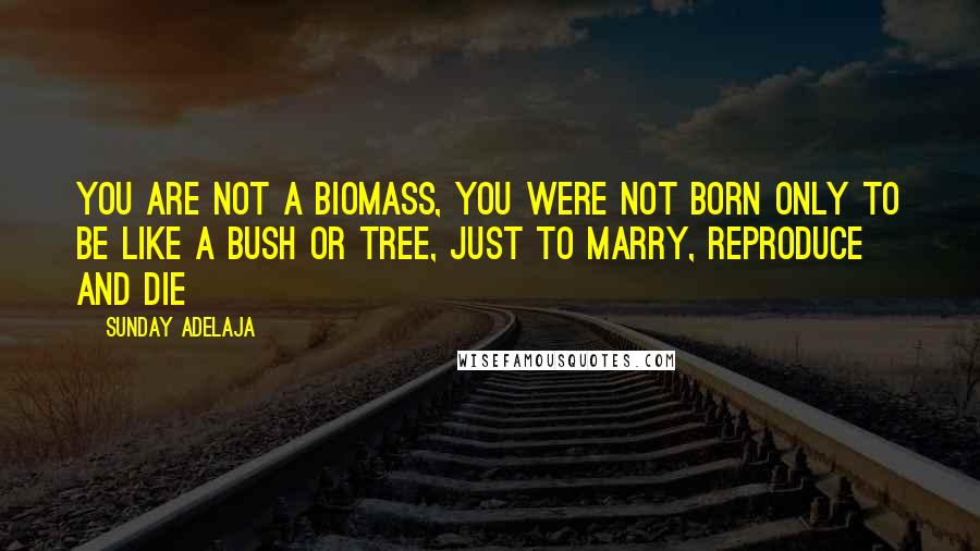 Sunday Adelaja Quotes: You are not a biomass, you were not born only to be like a bush or tree, just to marry, reproduce and die