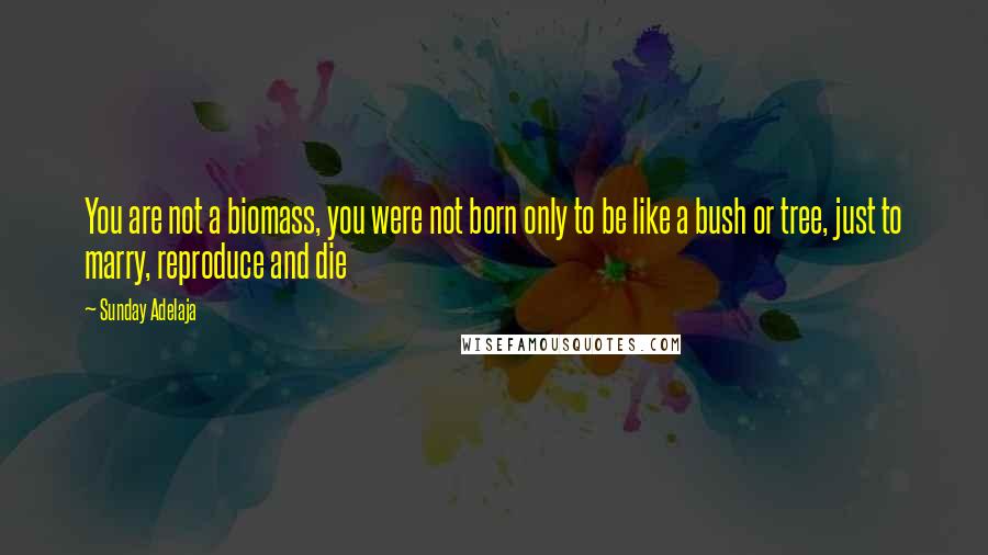 Sunday Adelaja Quotes: You are not a biomass, you were not born only to be like a bush or tree, just to marry, reproduce and die