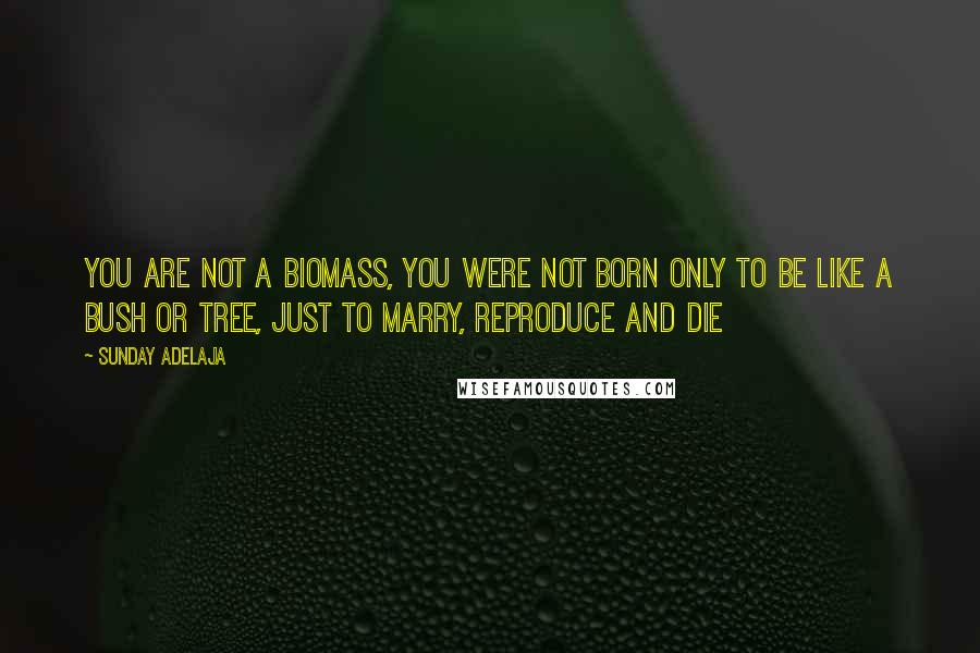 Sunday Adelaja Quotes: You are not a biomass, you were not born only to be like a bush or tree, just to marry, reproduce and die