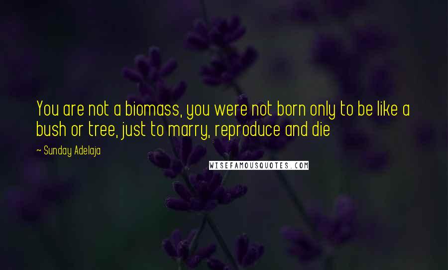 Sunday Adelaja Quotes: You are not a biomass, you were not born only to be like a bush or tree, just to marry, reproduce and die