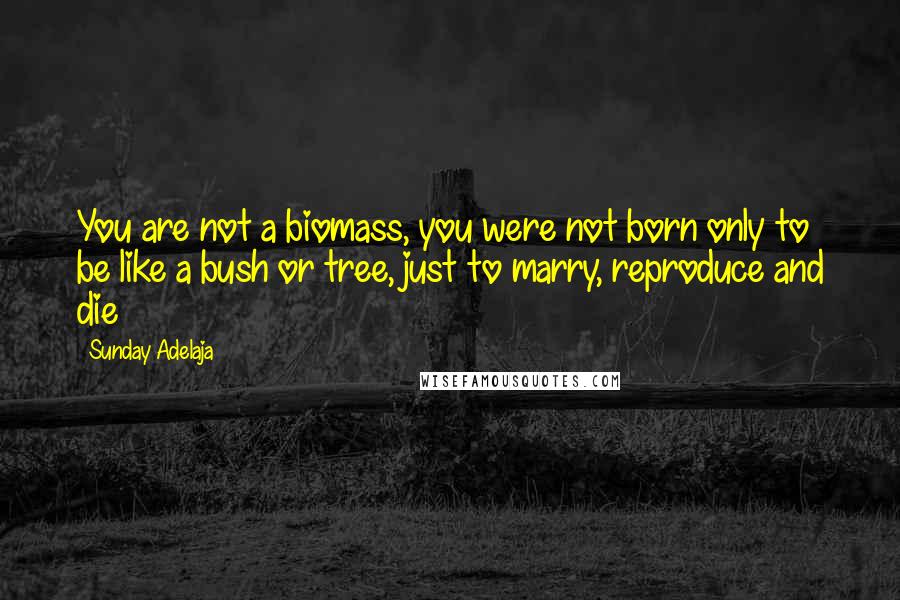 Sunday Adelaja Quotes: You are not a biomass, you were not born only to be like a bush or tree, just to marry, reproduce and die