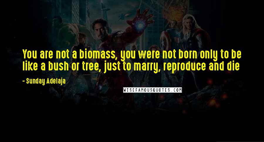 Sunday Adelaja Quotes: You are not a biomass, you were not born only to be like a bush or tree, just to marry, reproduce and die