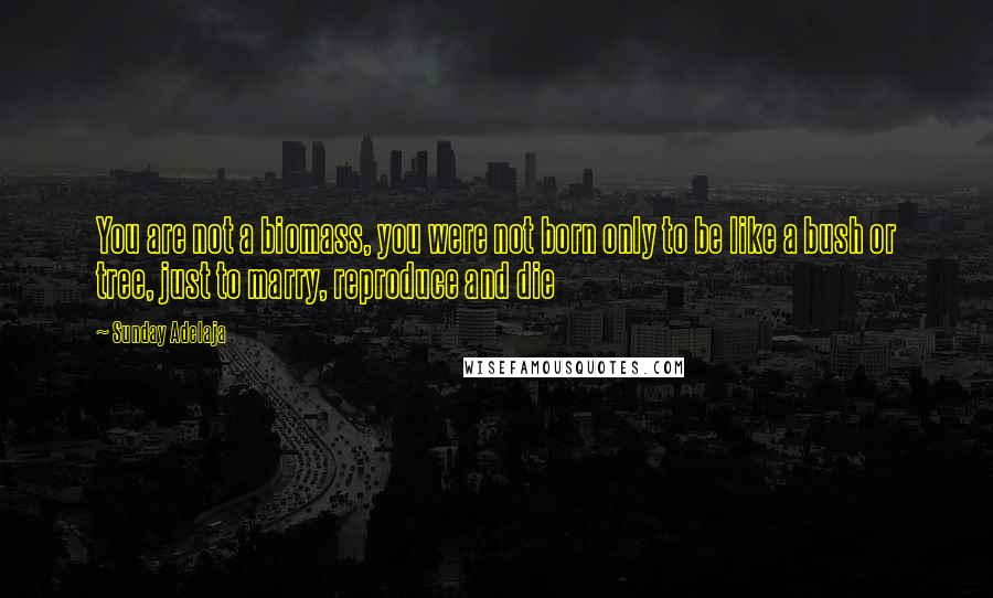 Sunday Adelaja Quotes: You are not a biomass, you were not born only to be like a bush or tree, just to marry, reproduce and die