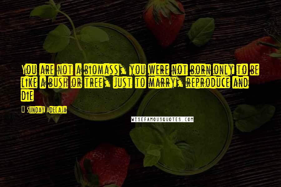 Sunday Adelaja Quotes: You are not a biomass, you were not born only to be like a bush or tree, just to marry, reproduce and die