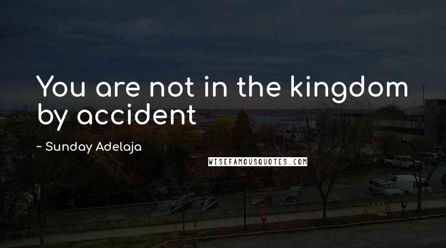 Sunday Adelaja Quotes: You are not in the kingdom by accident