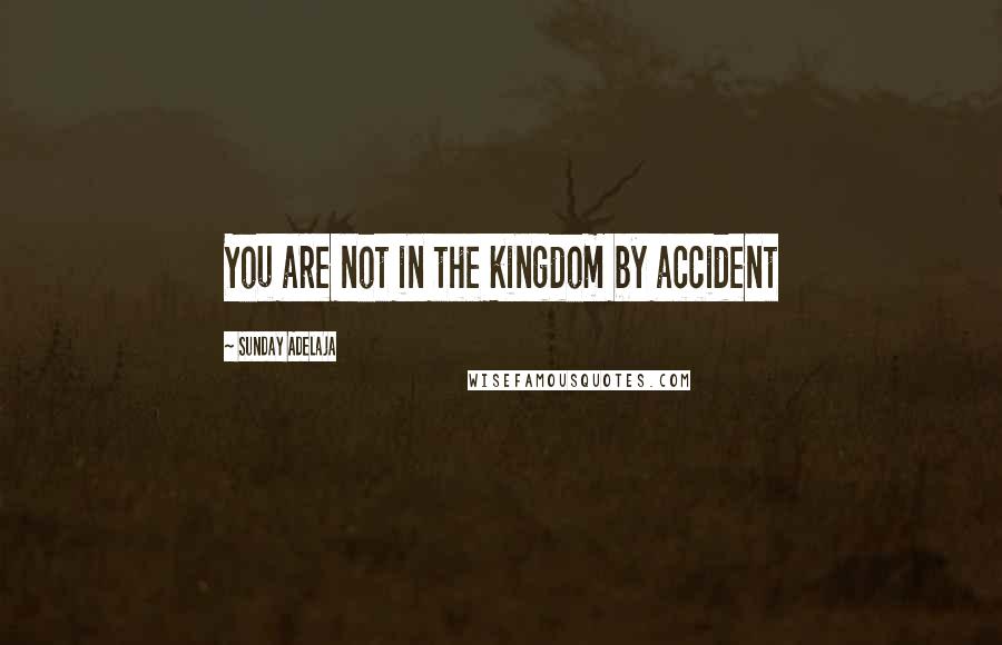 Sunday Adelaja Quotes: You are not in the kingdom by accident