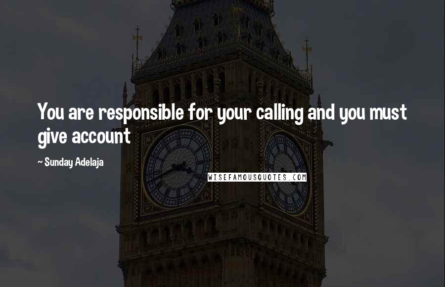 Sunday Adelaja Quotes: You are responsible for your calling and you must give account