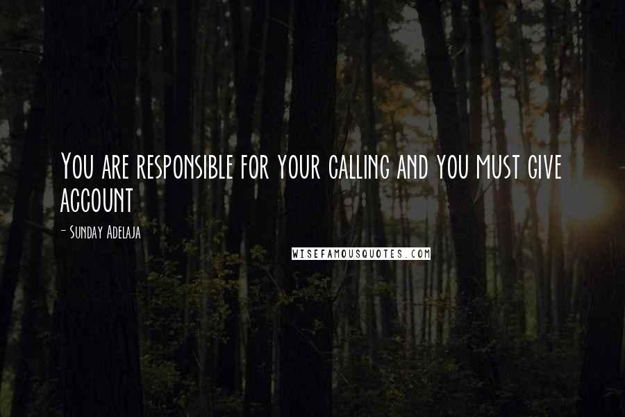 Sunday Adelaja Quotes: You are responsible for your calling and you must give account
