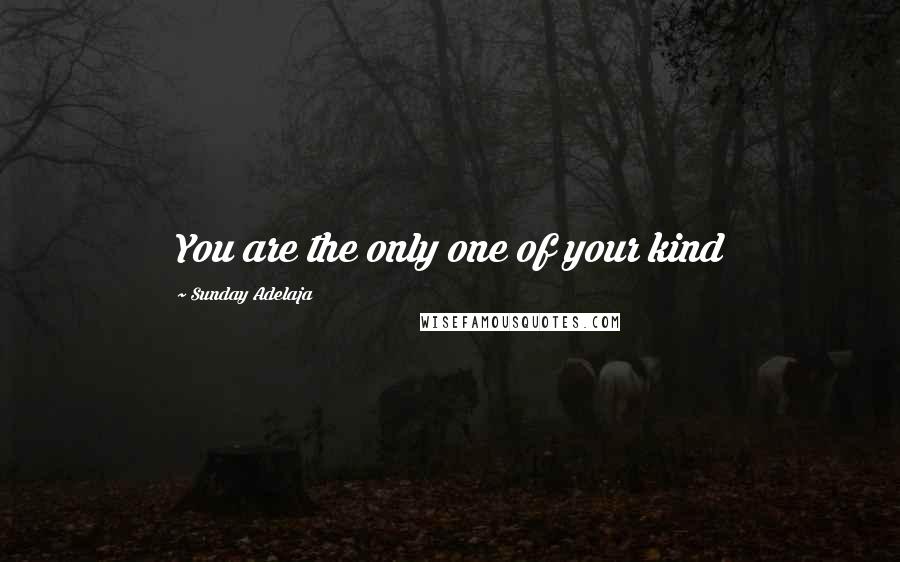 Sunday Adelaja Quotes: You are the only one of your kind