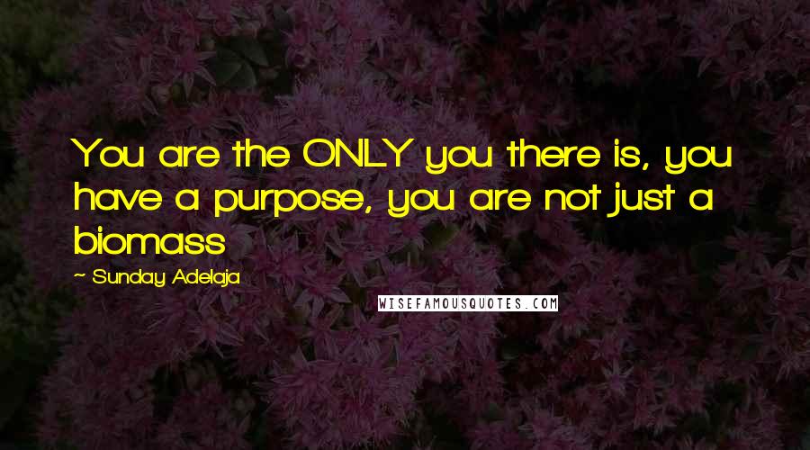Sunday Adelaja Quotes: You are the ONLY you there is, you have a purpose, you are not just a biomass