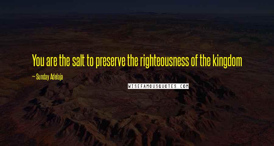 Sunday Adelaja Quotes: You are the salt to preserve the righteousness of the kingdom