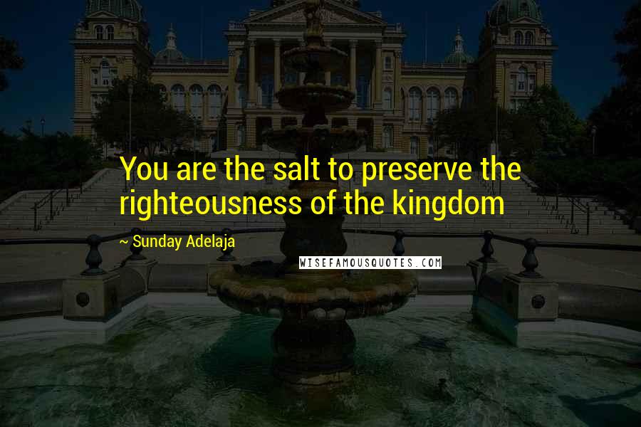 Sunday Adelaja Quotes: You are the salt to preserve the righteousness of the kingdom