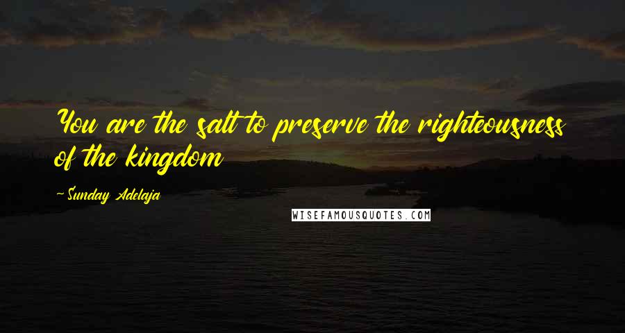 Sunday Adelaja Quotes: You are the salt to preserve the righteousness of the kingdom
