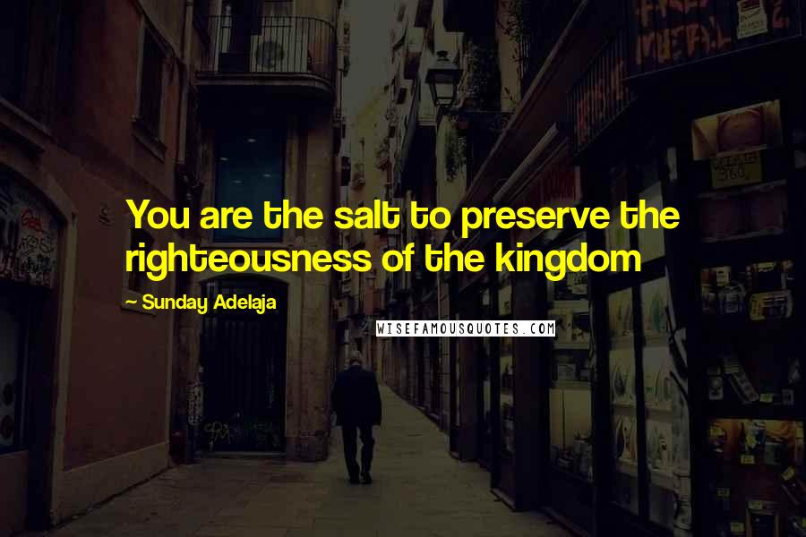 Sunday Adelaja Quotes: You are the salt to preserve the righteousness of the kingdom
