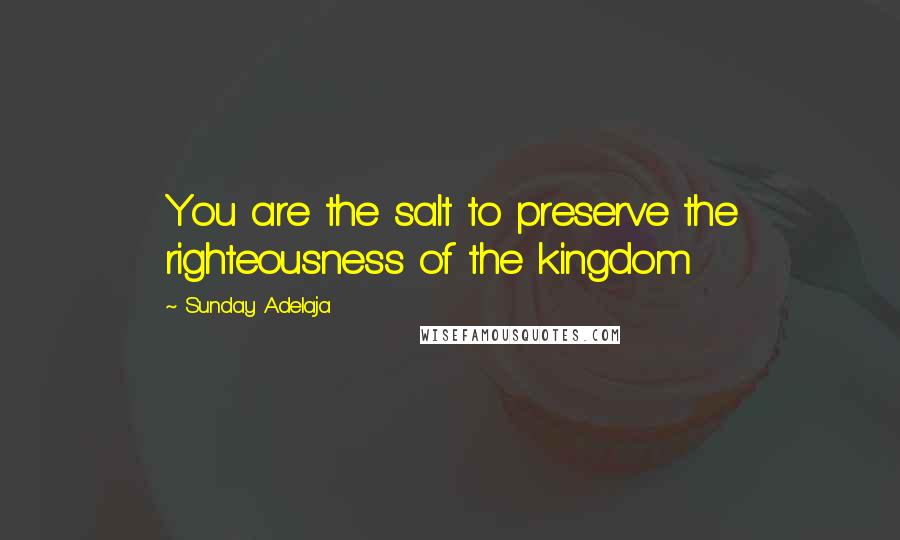 Sunday Adelaja Quotes: You are the salt to preserve the righteousness of the kingdom