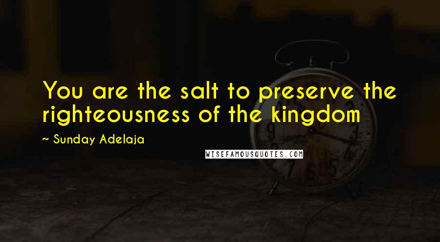 Sunday Adelaja Quotes: You are the salt to preserve the righteousness of the kingdom