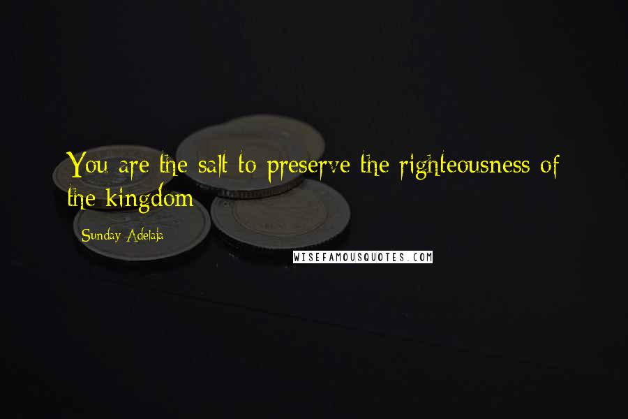 Sunday Adelaja Quotes: You are the salt to preserve the righteousness of the kingdom